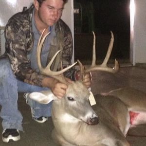 Meet your Posher, Norman